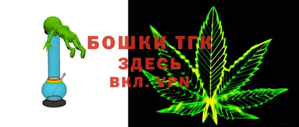 молекула духа Нязепетровск
