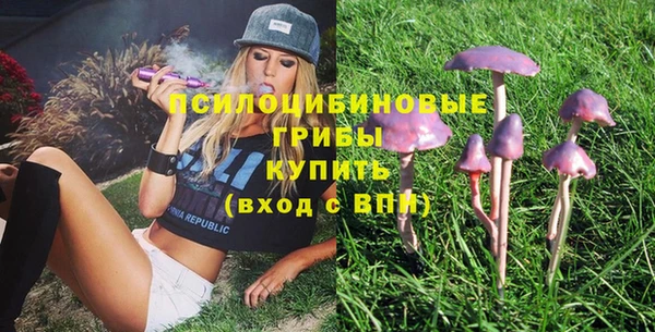 молекула духа Нязепетровск